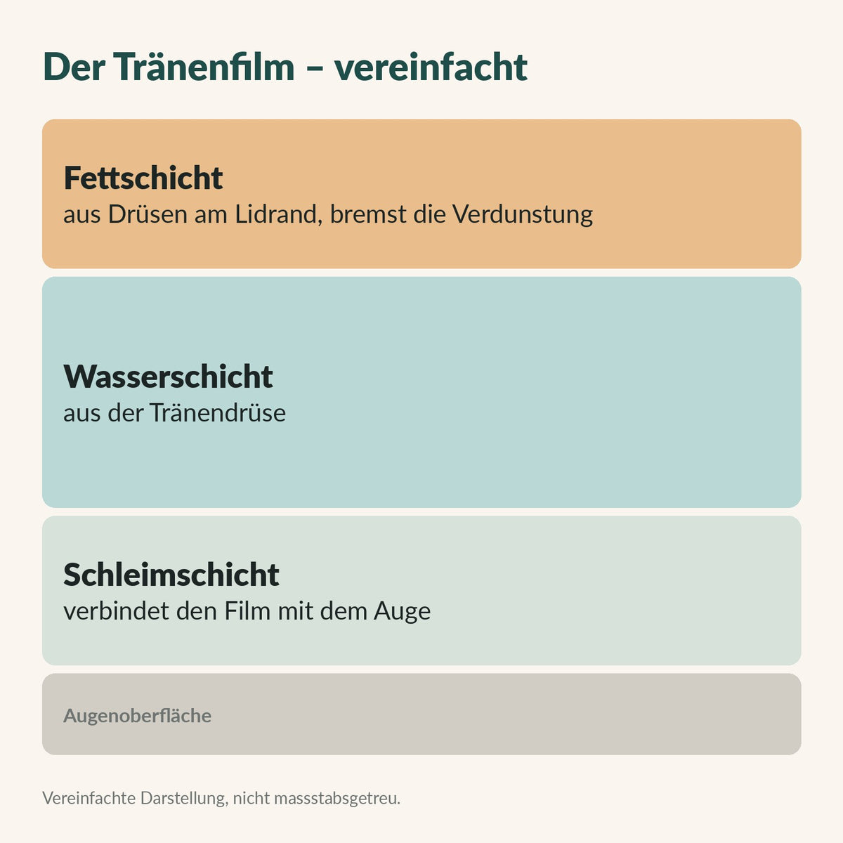 Vereinfachte Grafik des Tränenfilms